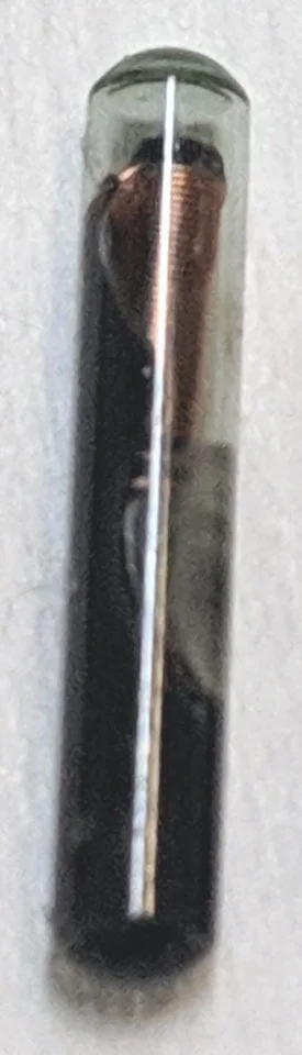 Dangerous Things xNT - Physical xNT glass capsule, left of the maker comparison photograph.