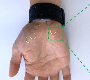 Graphene EDA palm e-tattoo - Physical graphene EDA palm e-tattoo on an open palm. Cropped from Figure 1b, undeformed state, in the authors’ 2022 Nature Communications paper.